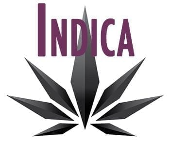 Indica