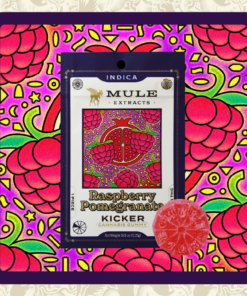 Mule Kicker - Raspberry Pomegranate 100mg Gummy