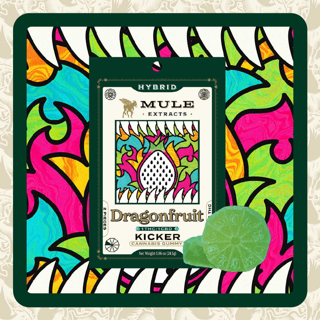 Mule Kicker - Dragonfruit 100mg 1:1 CBD Gummy 2pk