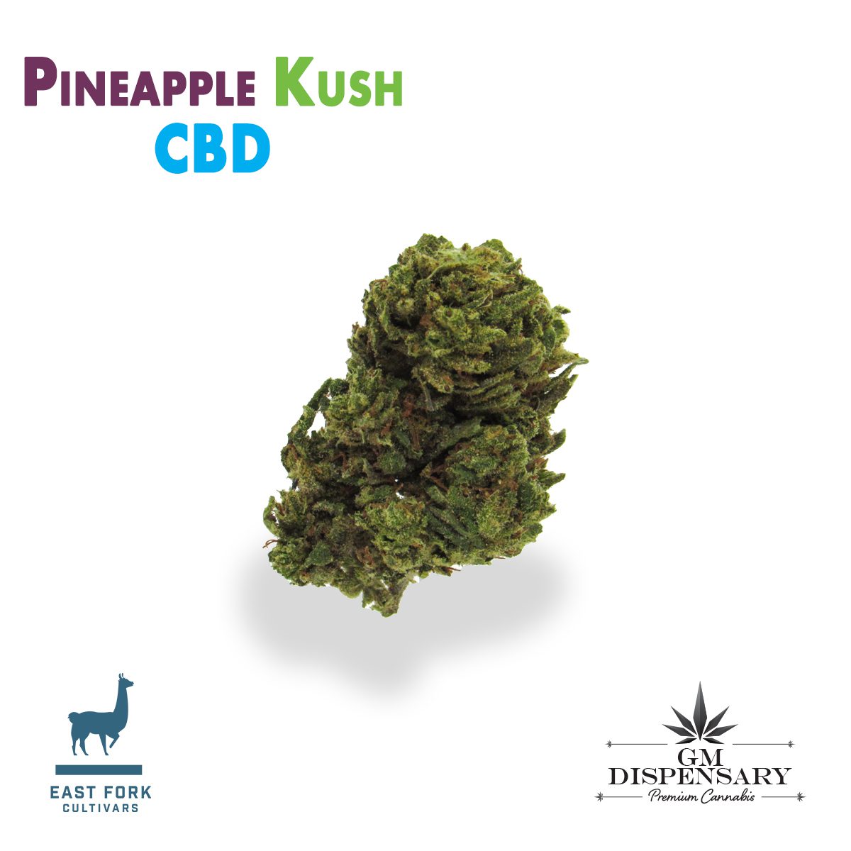 Pineapple Kush CBD by East Fork Cultivars