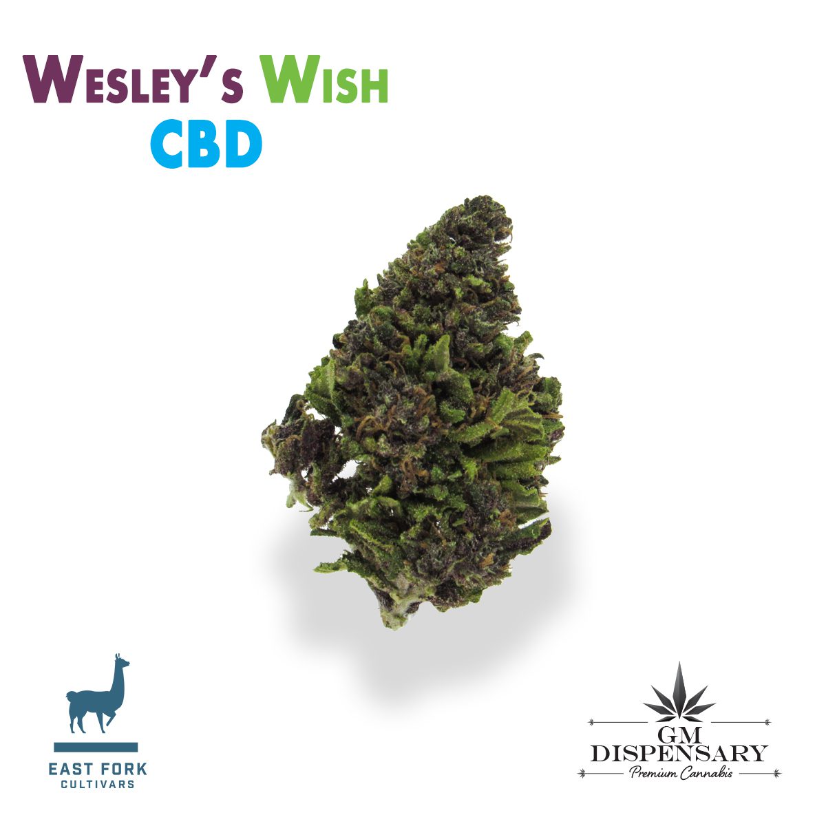 Wesley's Wish CBD by East Fork Cultivars