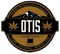 Candied Oranges $15 1/8th by Otis Gardens
