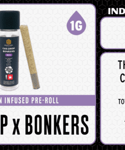 WLE Infused 1g Pre-Roll - Gas Drop x Bonkers