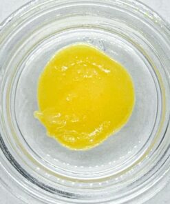 Beehive Extracts - Platinum Lemon Cherry Gelato