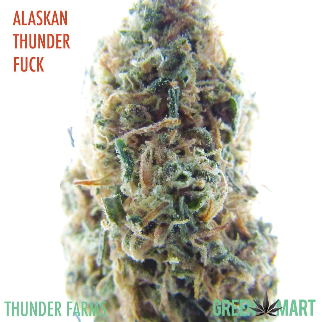 GM Dispensary | Beaverton – Oregon’s Best Dispensary