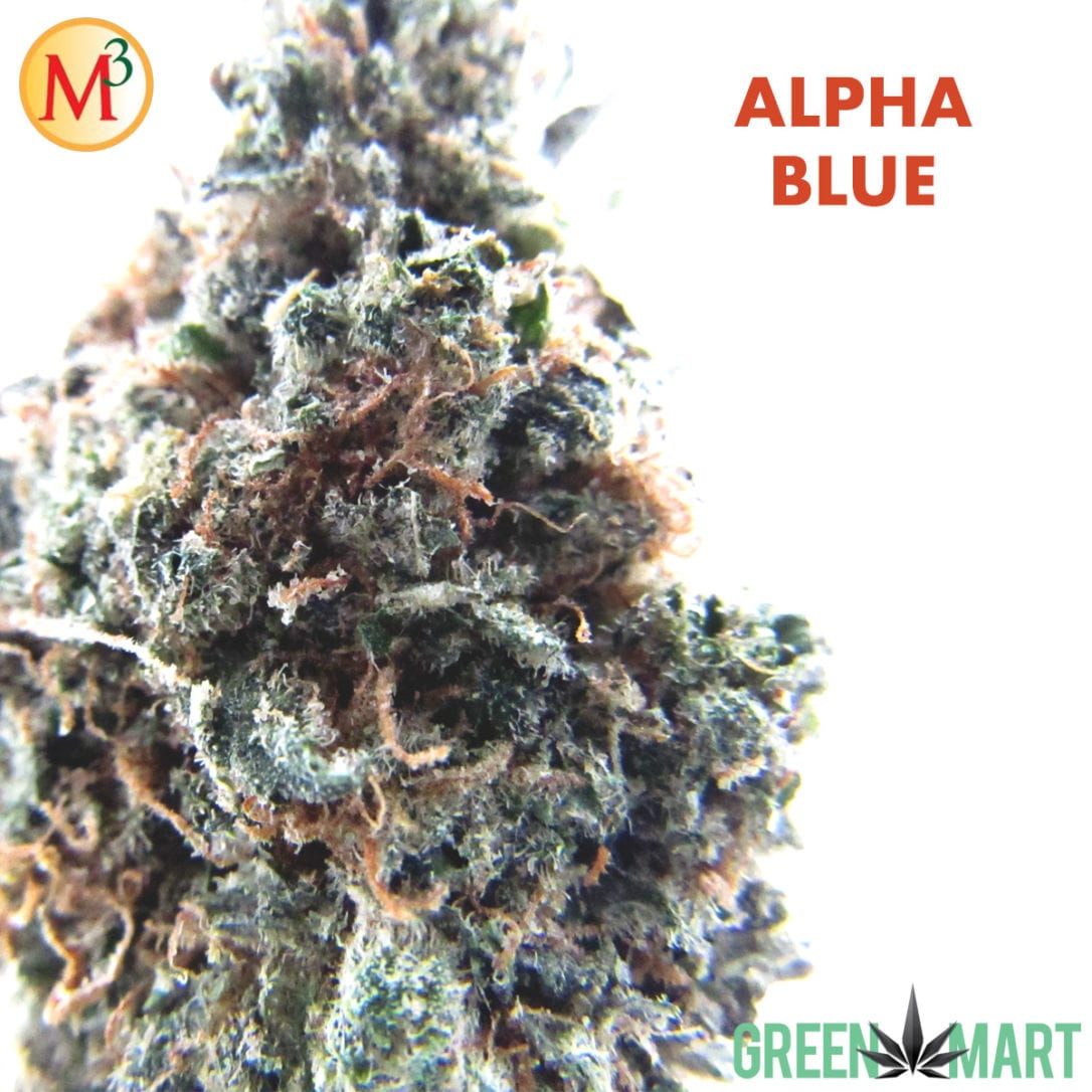 GM Dispensary | Beaverton – Oregon’s Best Dispensary