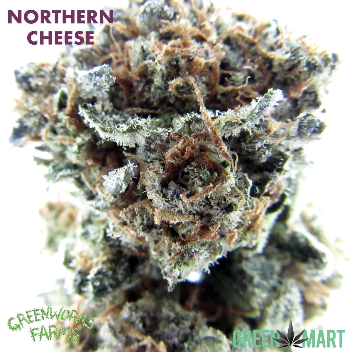 GM Dispensary | Beaverton – Oregon’s Best Dispensary