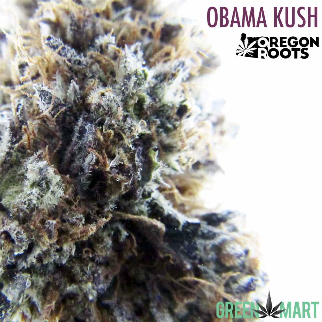 GM Dispensary | Beaverton – Oregon’s Best Dispensary