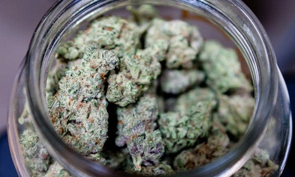Medical Marijuana Struggles to Survive Recreational Markets