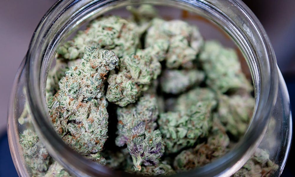 Medical Marijuana Struggles to Survive Recreational Markets