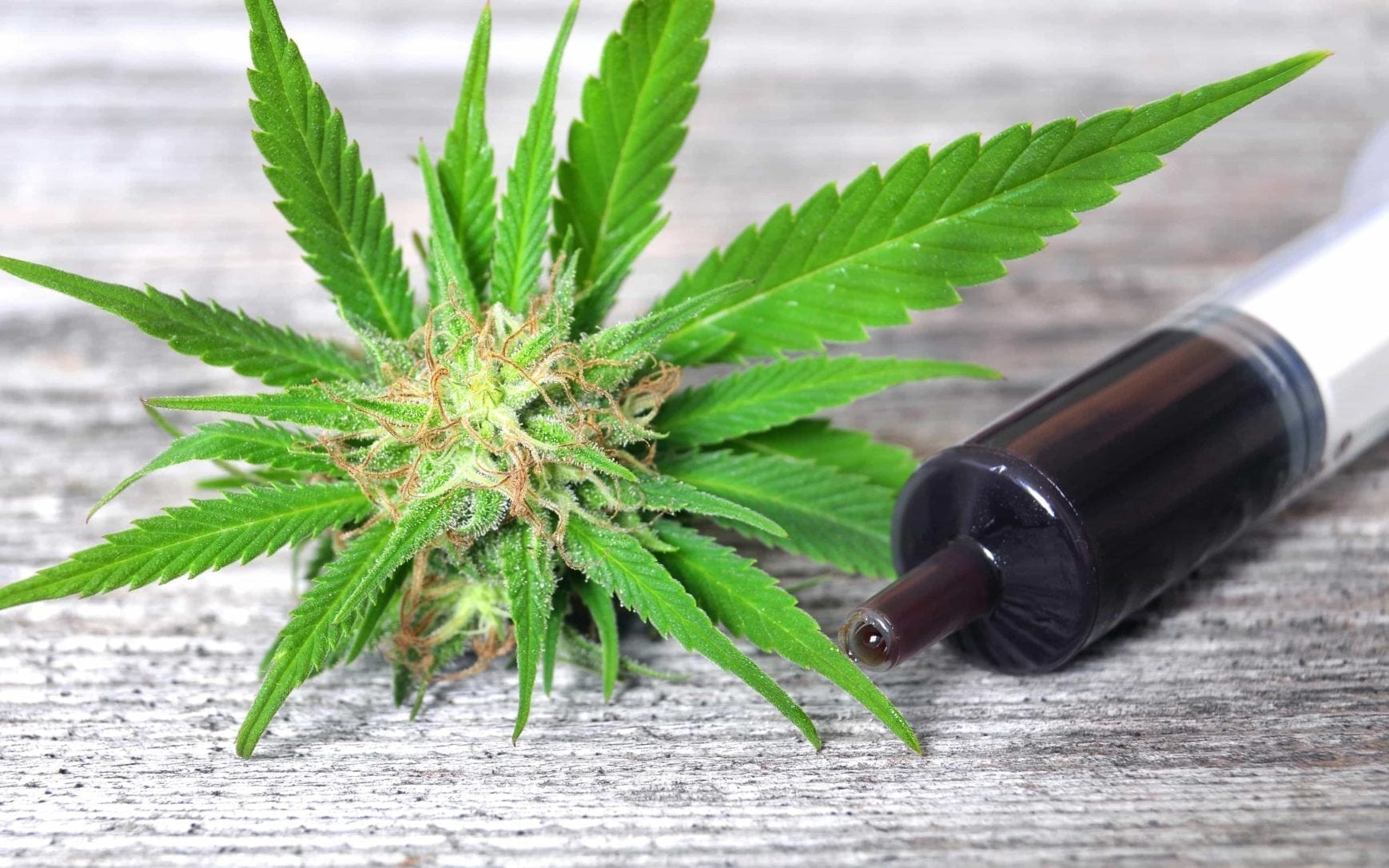 GM Dispensary | Beaverton – Oregon’s Best Dispensary