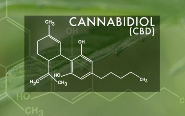 CBD Edibles Category