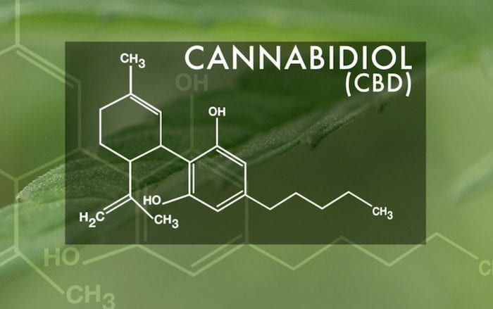CBD Edibles Category