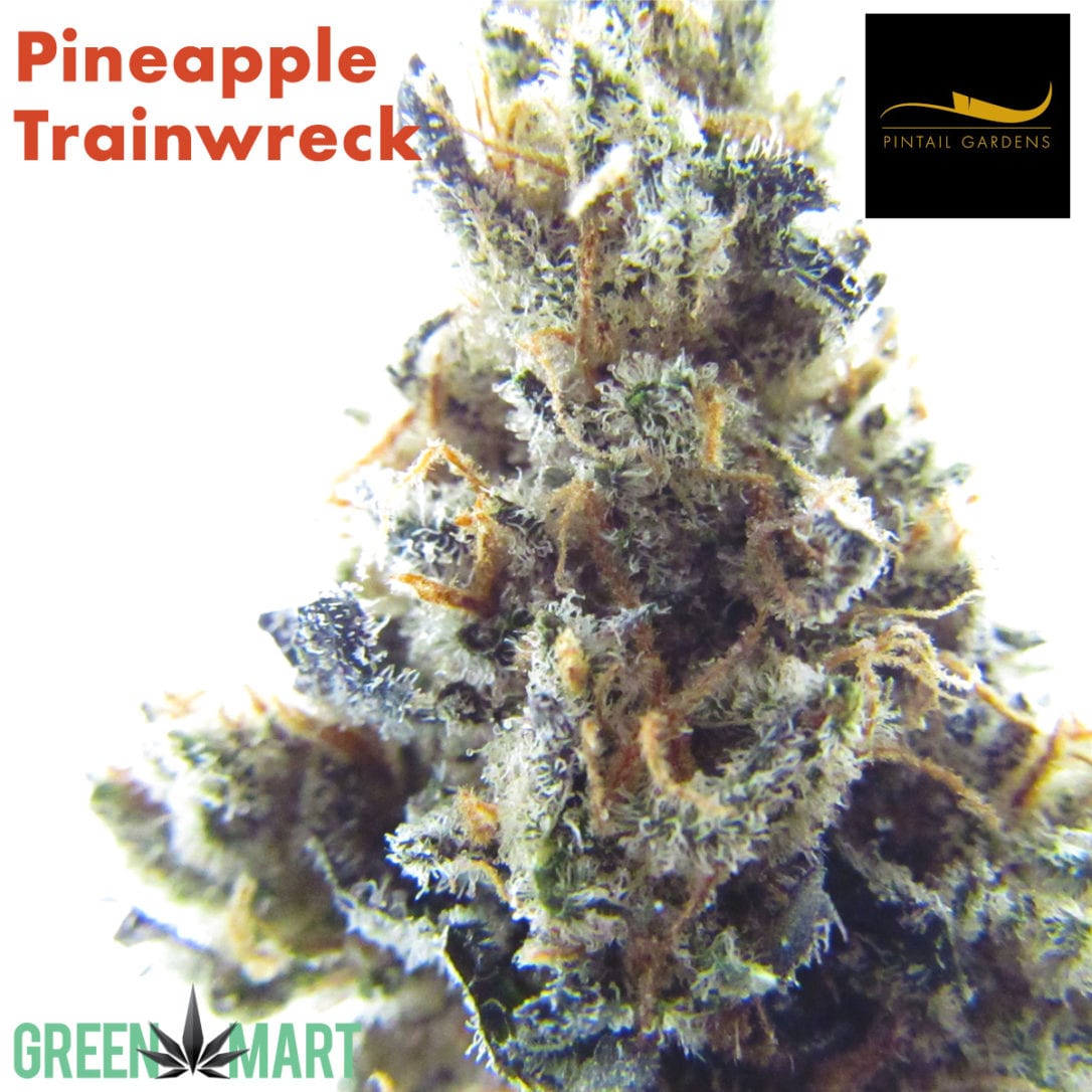 GM Dispensary | Beaverton – Oregon’s Best Dispensary