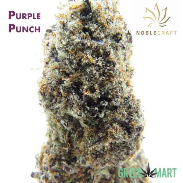 Purple Punch Grown by Noblecraft