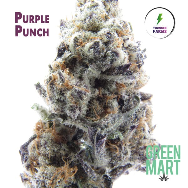 Purple Punch by Thunder Farms