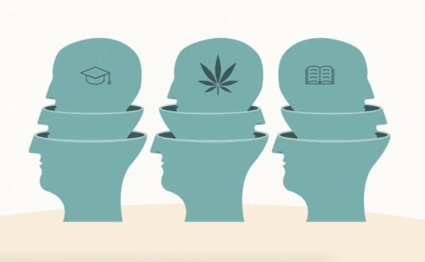 Why More College Students Are Calming Anxiety With Medical Cannabis