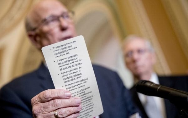 Senate Passes Farm Bill That Legalizes Hemp