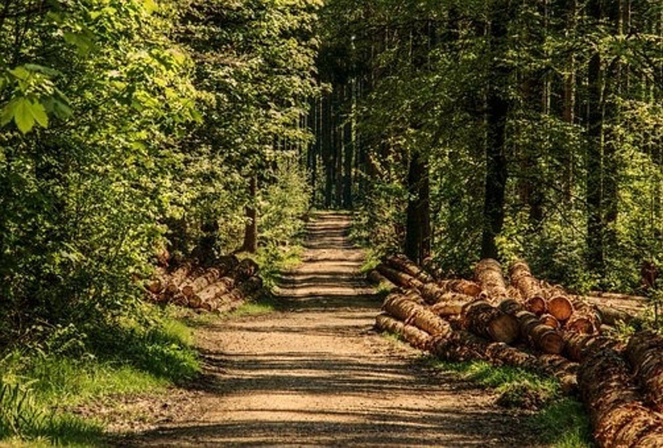 Outrage Grows after Cops Bulldoze Man to Death Over 10 Pot Plants
