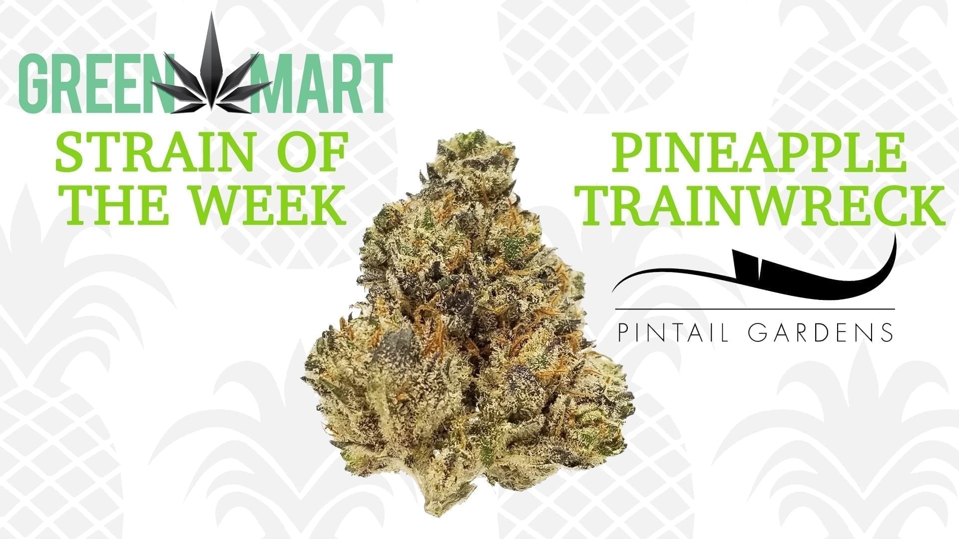 GM Dispensary | Beaverton – Oregon’s Best Dispensary