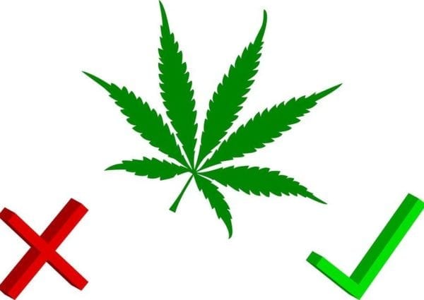 Why is There Still Such a Negative Stigma Surrounding Cannabis? It's 2018.