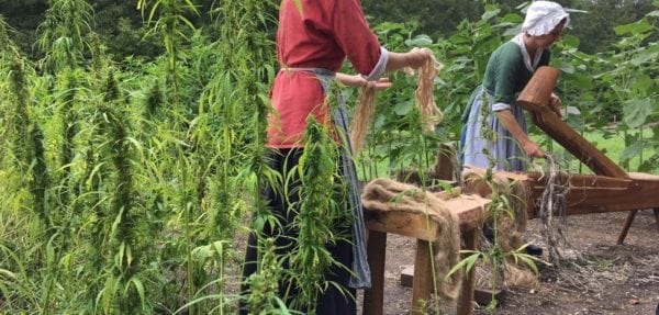 George Washington Hemp