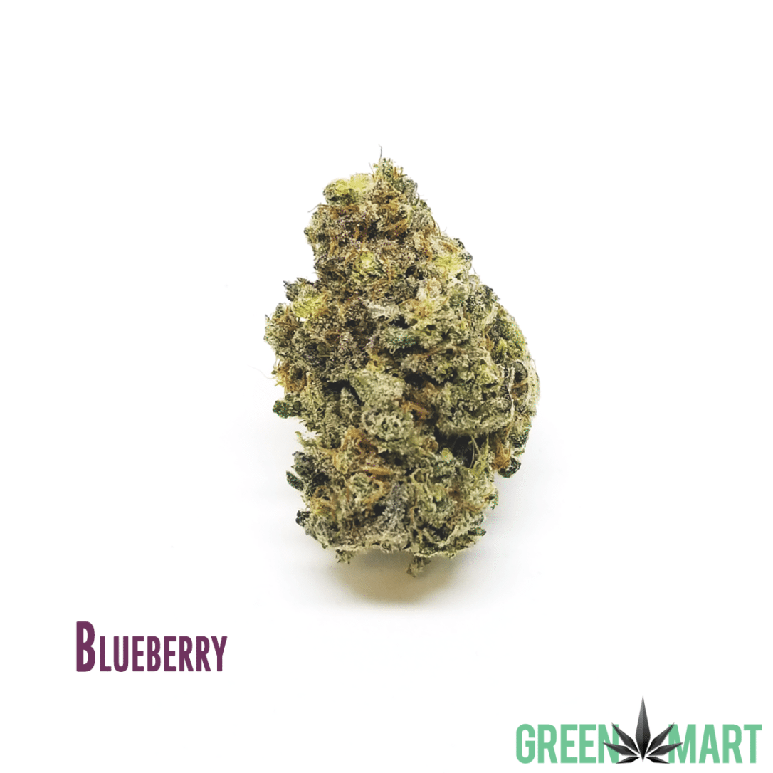 GM Dispensary | Beaverton – Oregon’s Best Dispensary