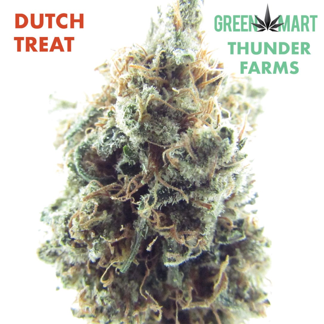 GM Dispensary | Beaverton – Oregon’s Best Dispensary