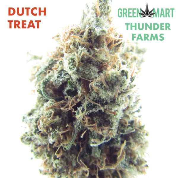 Dutch Treat Thunder Farms