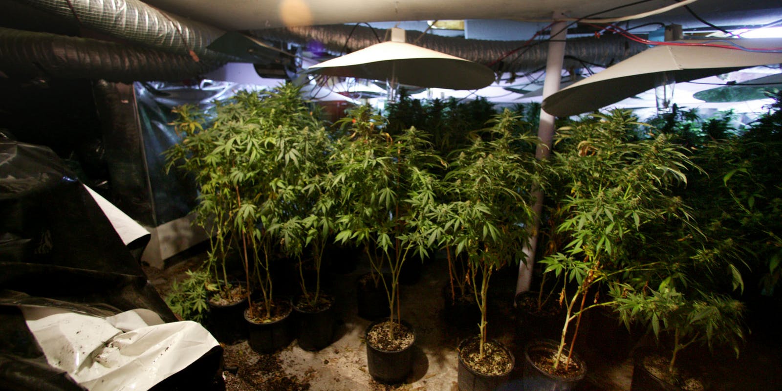 (Photo by Norm Betts/Bloomberg via Getty Images)