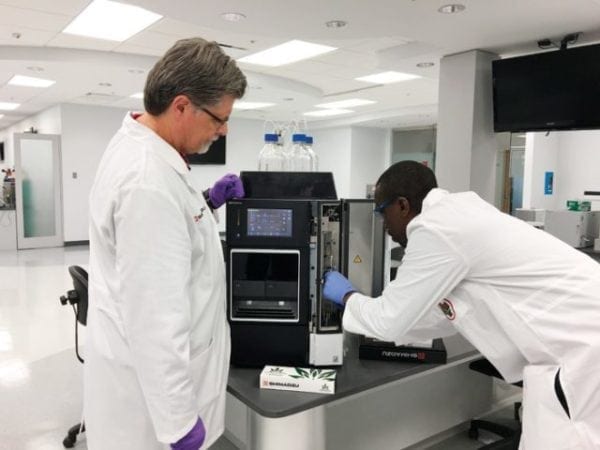 Cannabis Analysis: The 7 Most Important Testing Procedures
