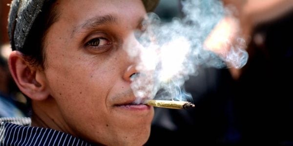 Cannabis Users Are Less Overweight Than Non-Users: A Study