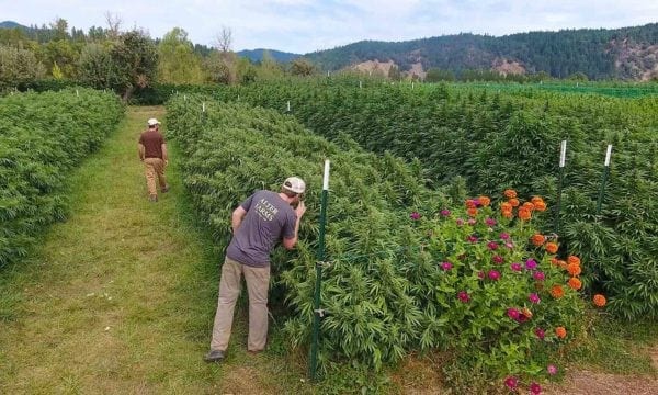 ‘Dirt Is Inert, Soil Is Alive’