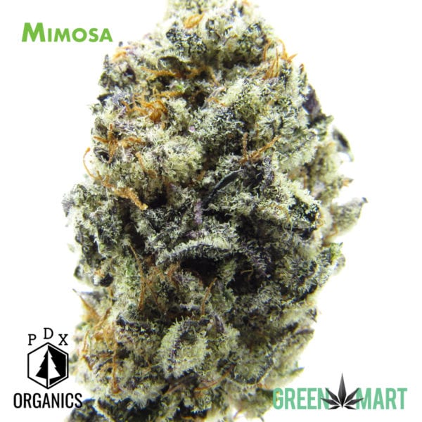 Mimosa by PDX Organics