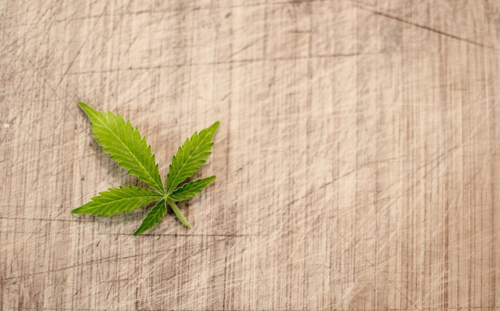 Federal Court Rules In Favor Of Worker Rejected For Medical Marijuana Use