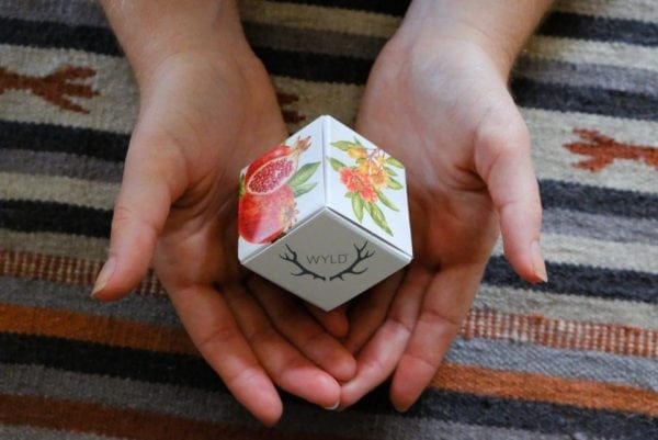 WYLD CBD and THC-Infused Gummies Are Gourmet Vitamins For Adults