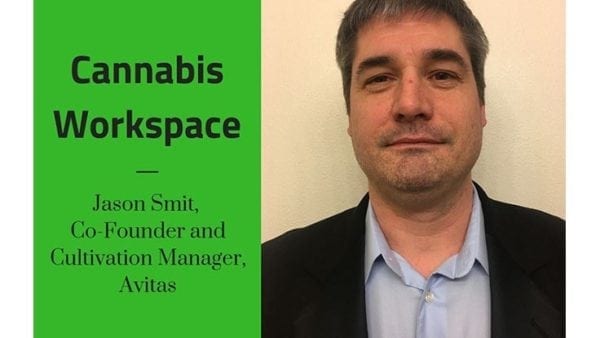 How Avitas' Jason Smit Works: Cannabis Workspace
