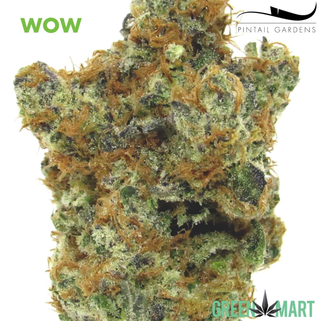 GM Dispensary | Beaverton – Oregon’s Best Dispensary