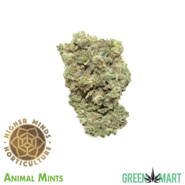 Animal Mints by Higher Minds Horticulture