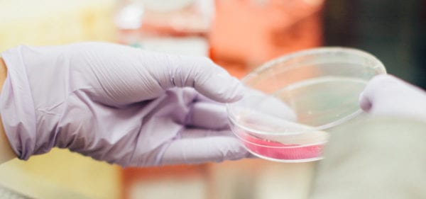 Lab Testing Petri Dish
