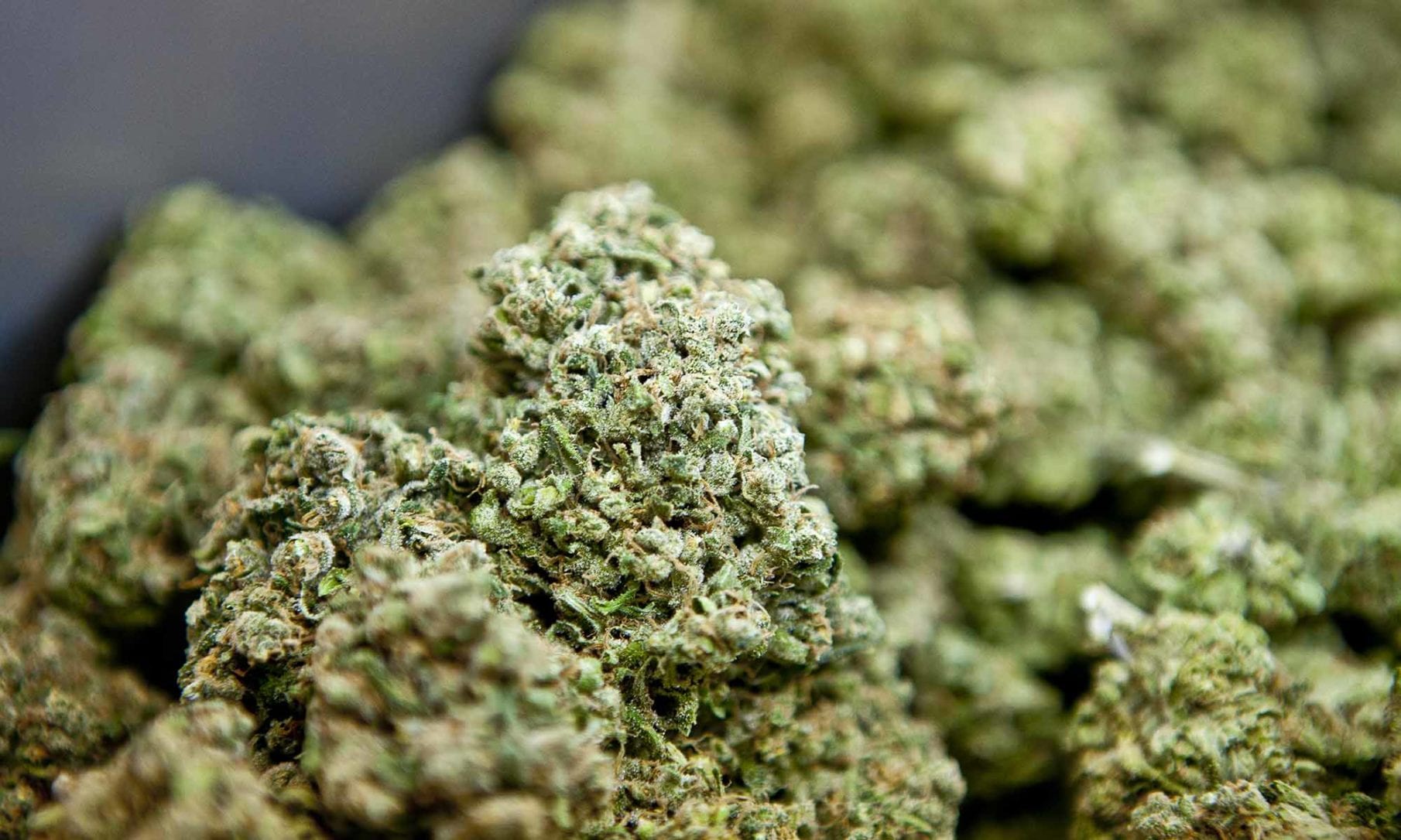 Close-up tight trimmed nugs