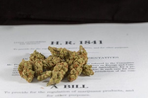 Bill HR 1841 with Cannabis on Top