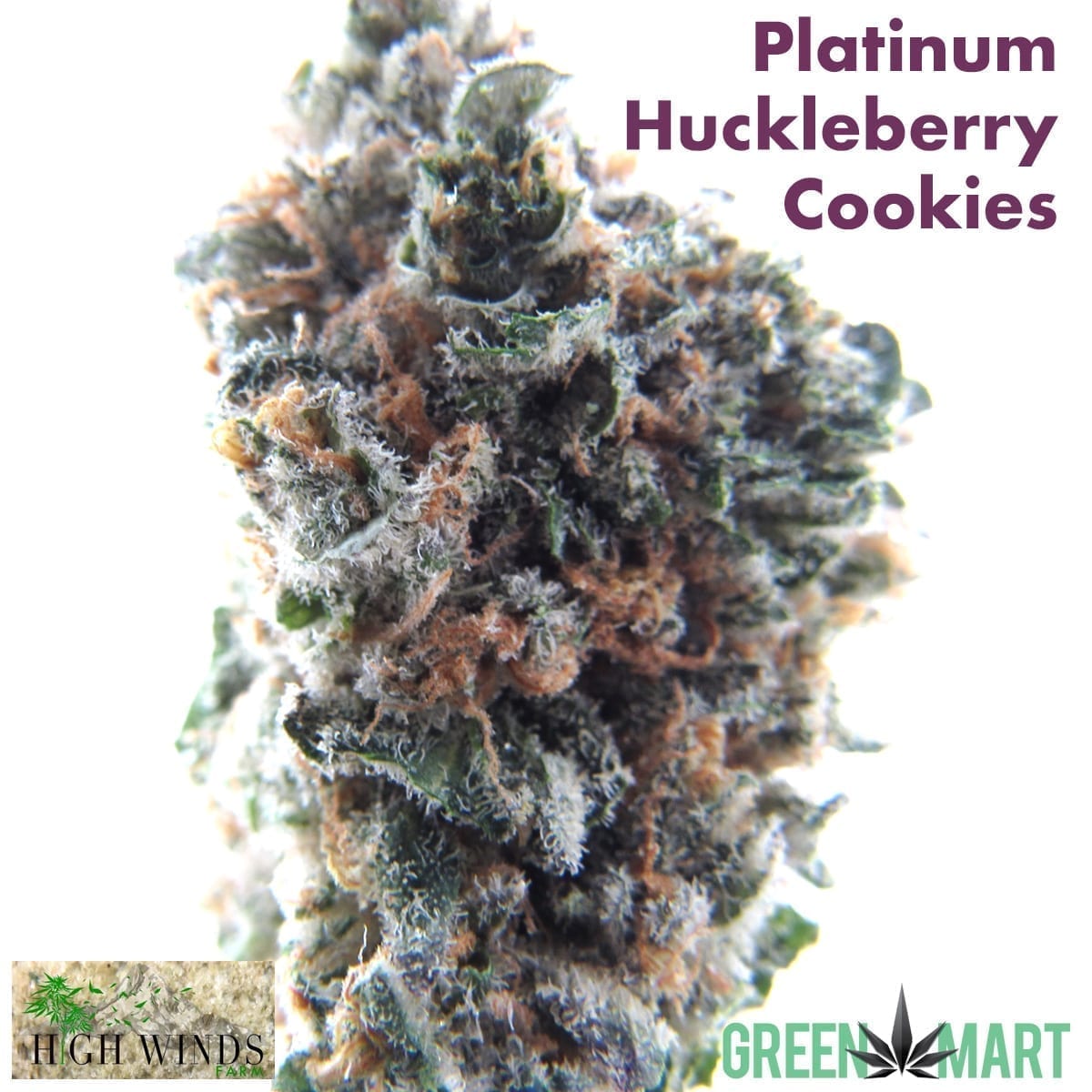 GM Dispensary | Beaverton – Oregon’s Best Dispensary