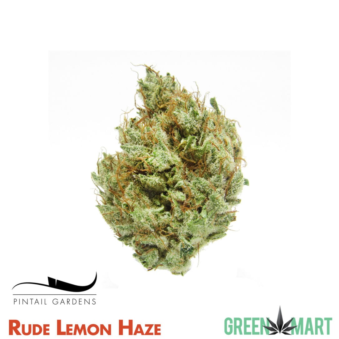 GM Dispensary | Beaverton – Oregon’s Best Dispensary