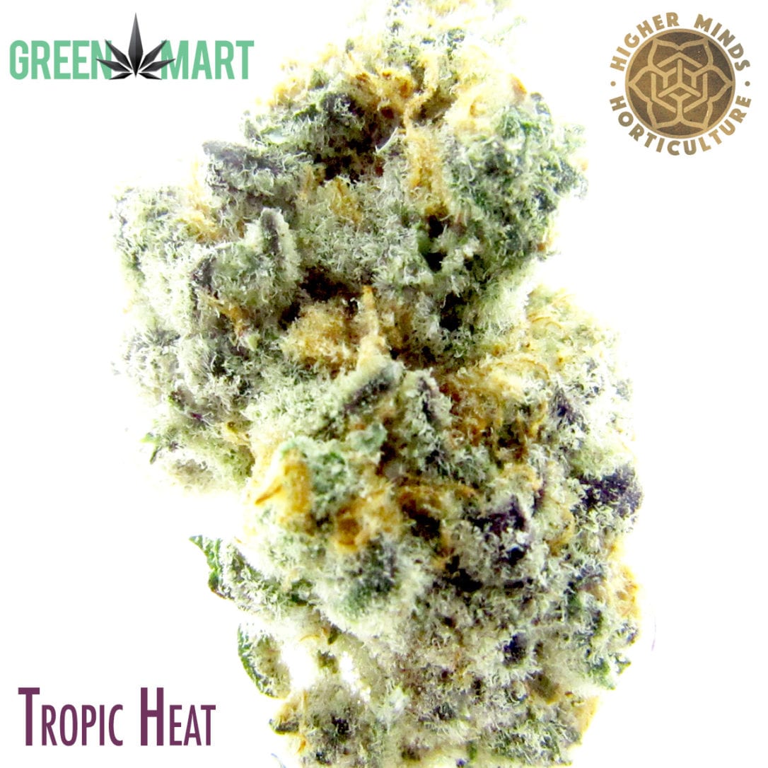 GM Dispensary | Beaverton – Oregon’s Best Dispensary