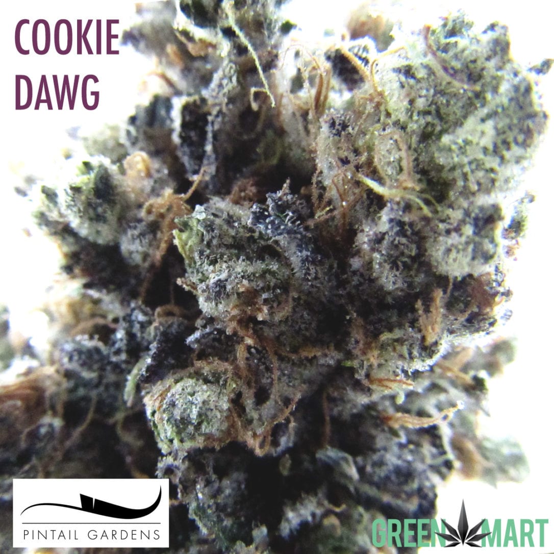 GM Dispensary | Beaverton – Oregon’s Best Dispensary