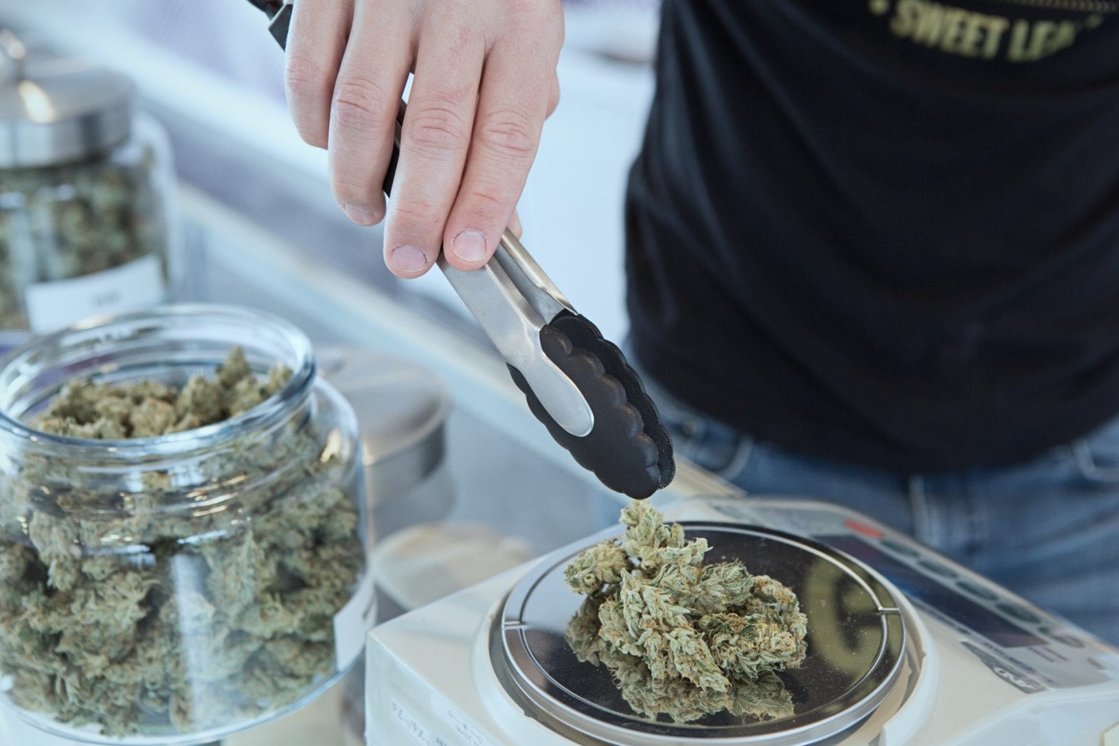 Budtender Weighing on Scale