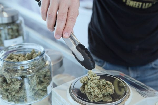 Budtender Weighing on Scale