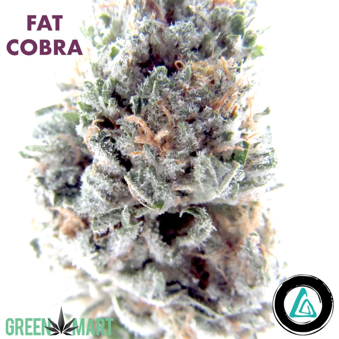 GM Dispensary | Beaverton – Oregon’s Best Dispensary