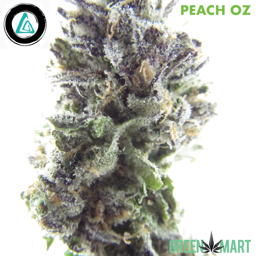 GM Dispensary | Beaverton – Oregon’s Best Dispensary